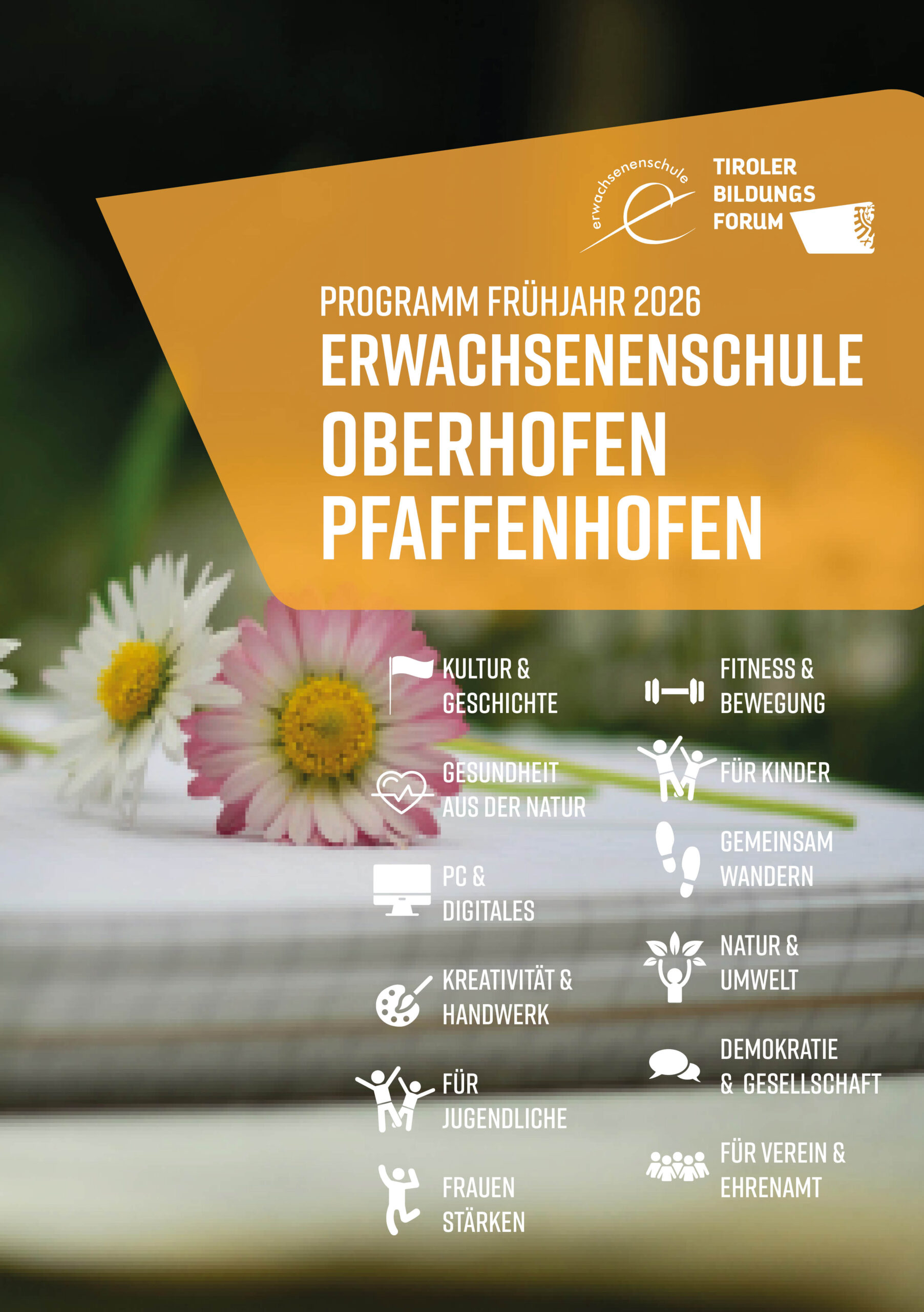 Das neue Kursprogramm ist da!